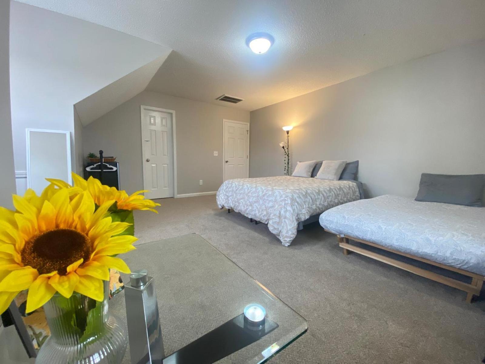 Private Room & Bathroom Close To Downtown Raleigh Esterno foto